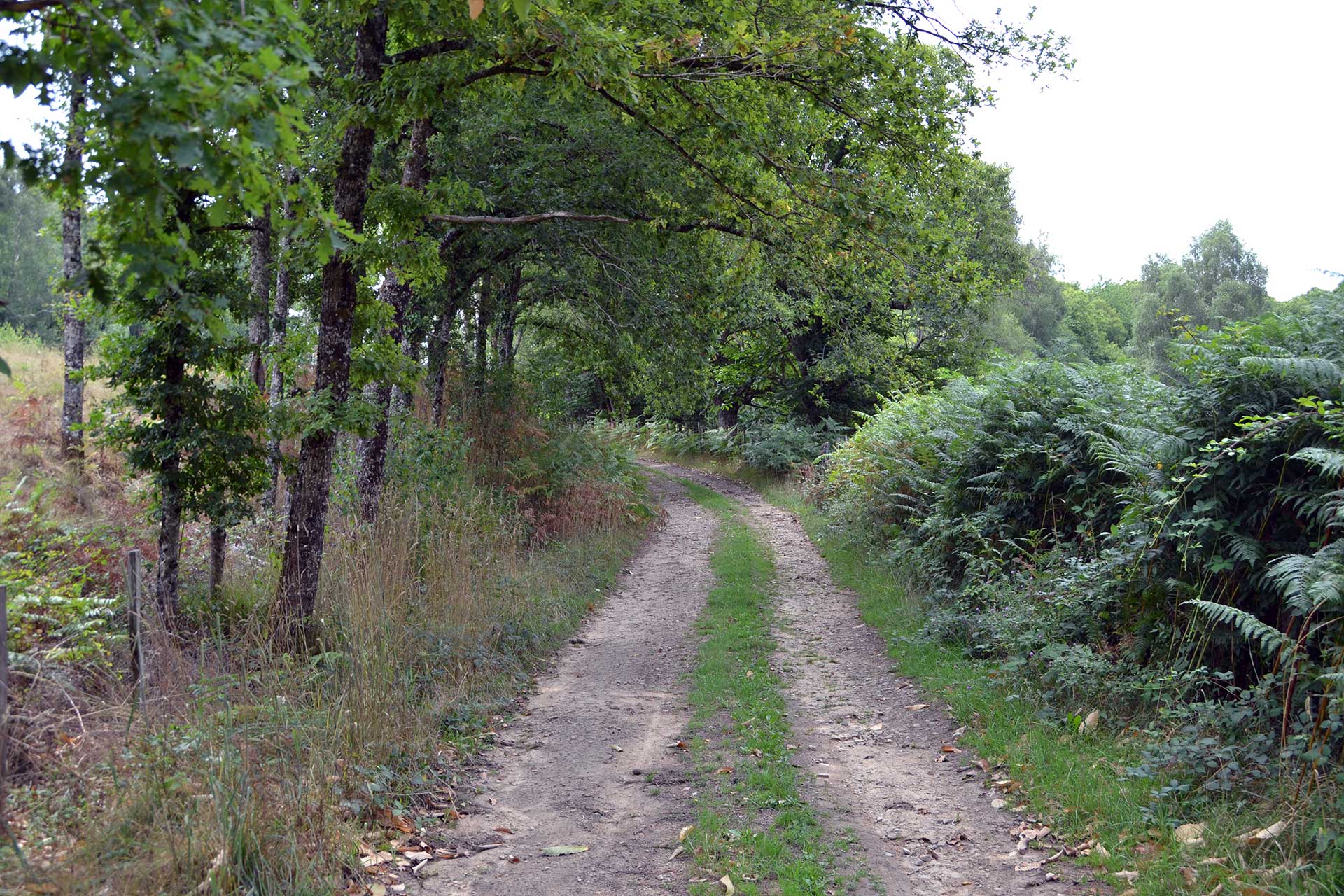 Sur les pas d'Henri de Navarre