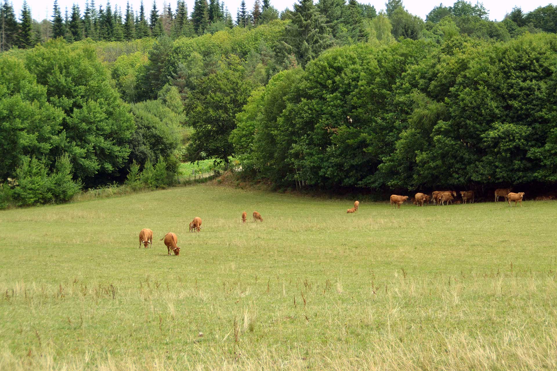 Sur les pas d'Henri de Navarre, La Roche-l'Abeille - photo 3