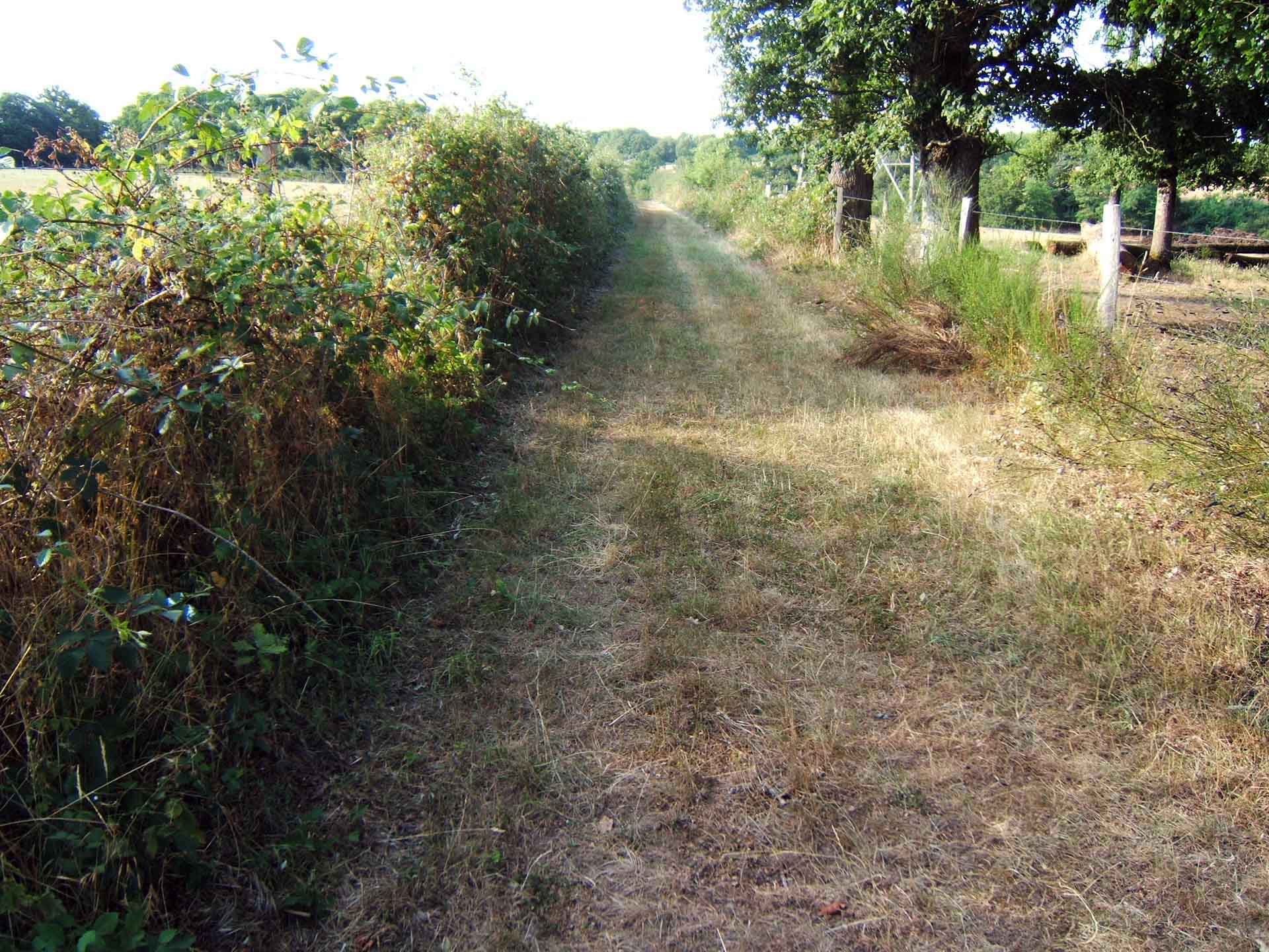 Chemin des deux moulins, Droux - photo 3