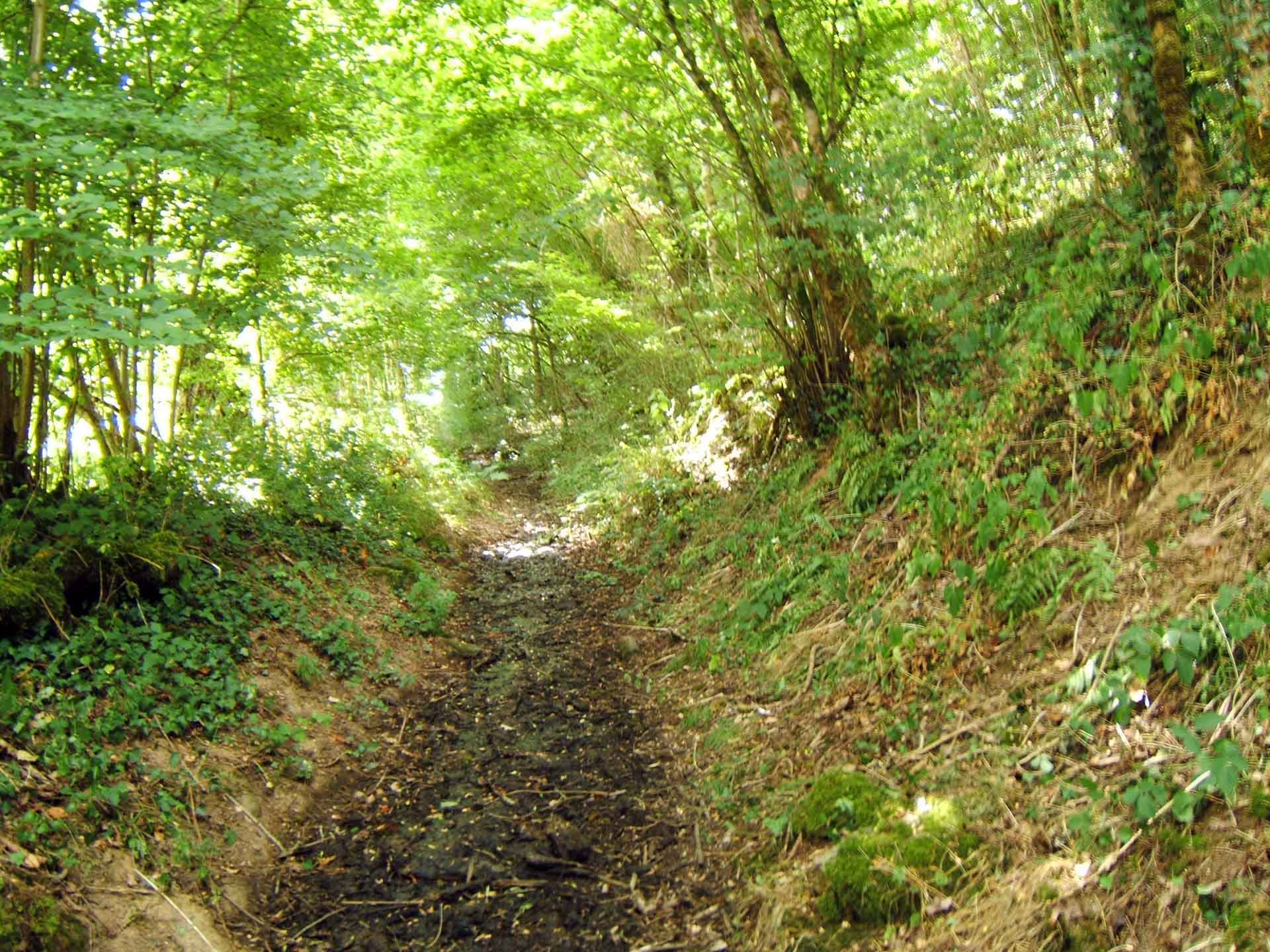 Chemin des deux moulins, Droux - photo 5