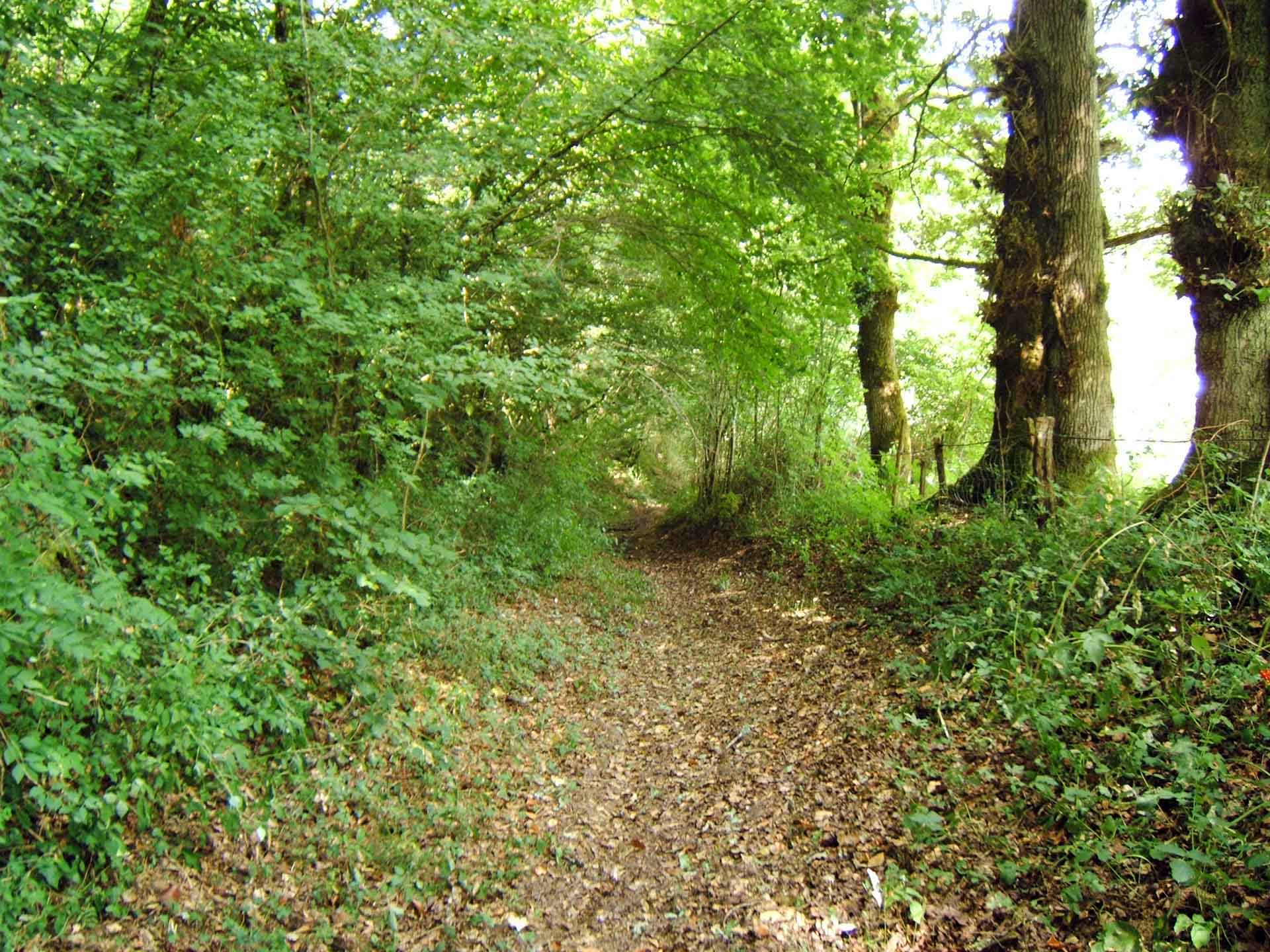 Chemin des deux moulins, Droux