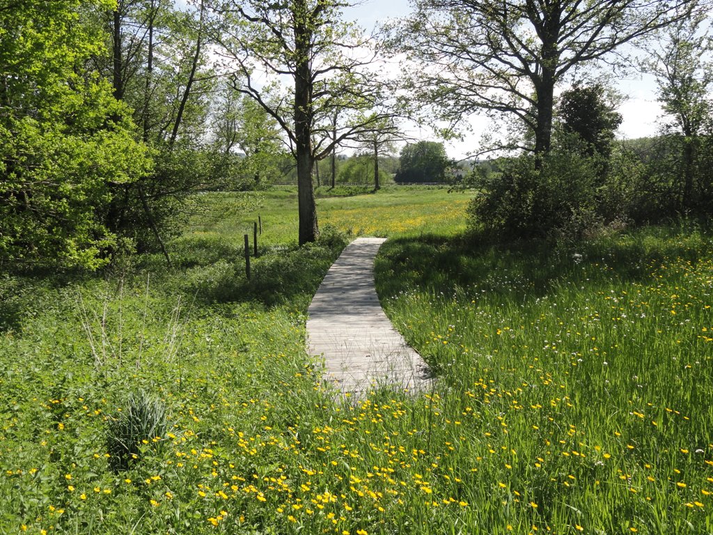 Sentier du bois des Chapelles