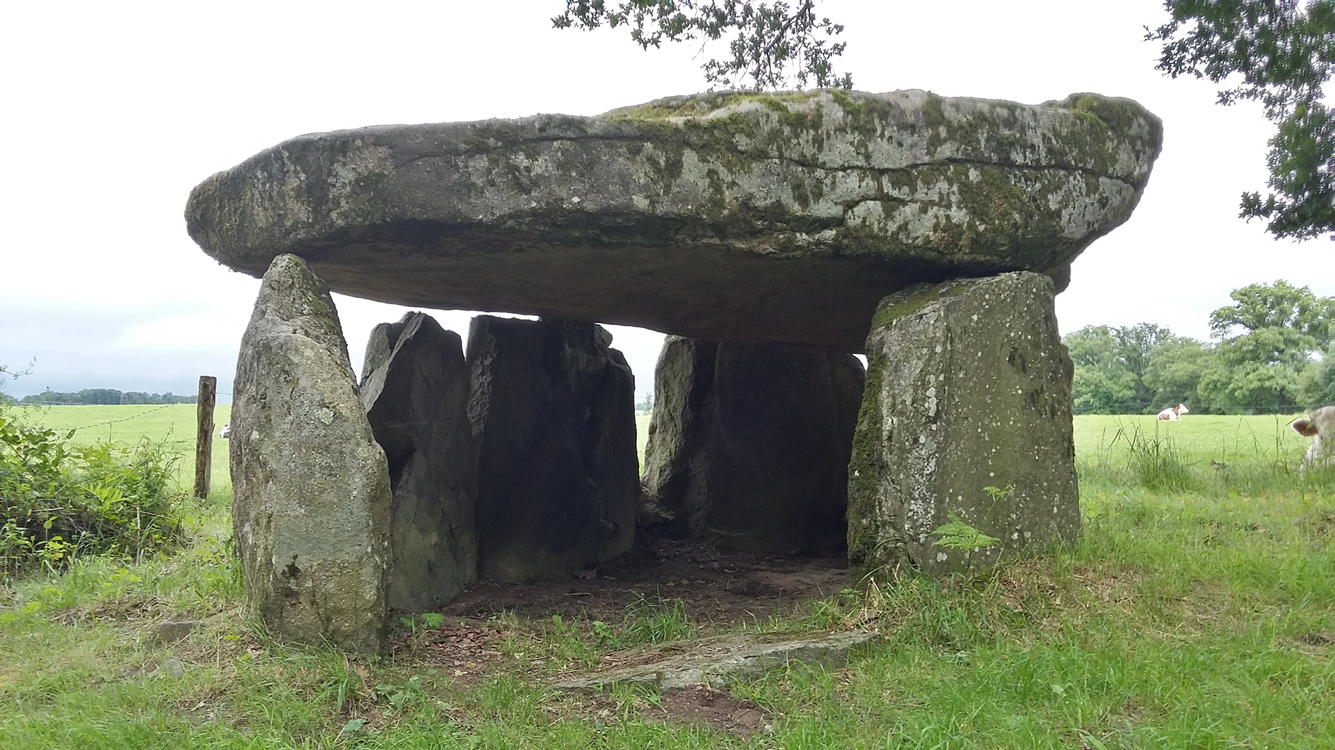 Chemin de la vallée du Vincou, Berneuil - photo 3
