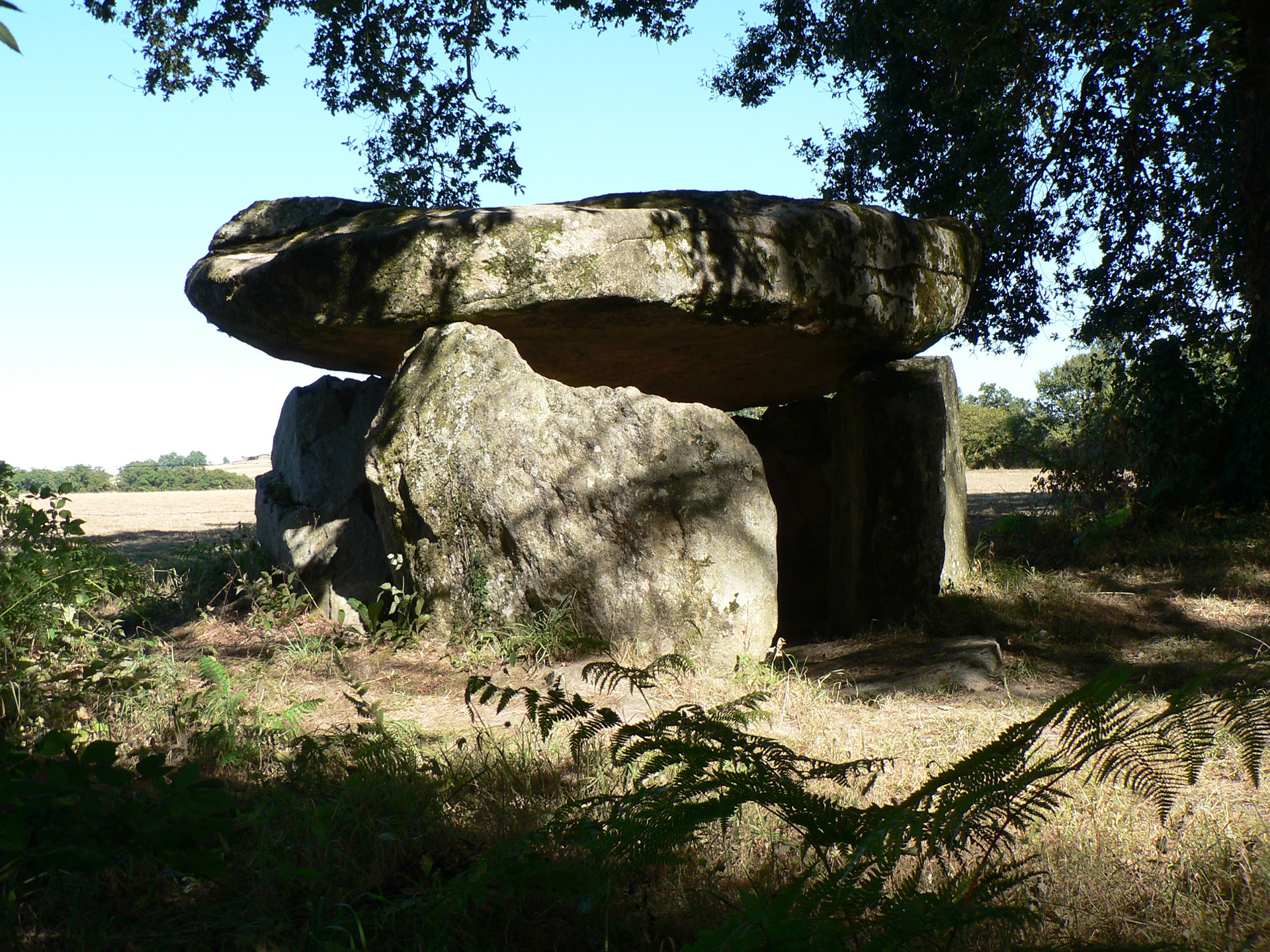 Chemin de la vallée du Vincou, Berneuil - photo 4