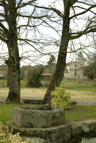 Sentier de la Couze, Saint-Pardoux-le-Lac - photo 4