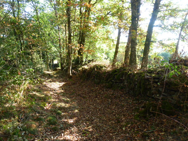 Sentier de la Couze, Saint-Pardoux-le-Lac