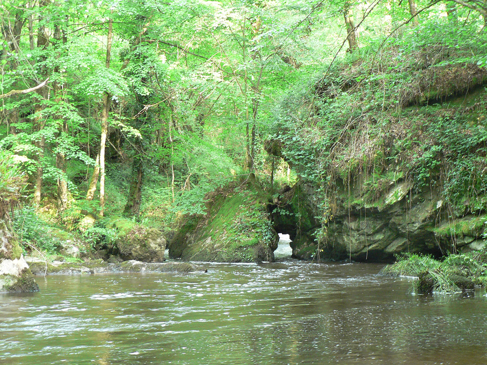 Chemin de la Galache à Lassalle, Berneuil - photo 2