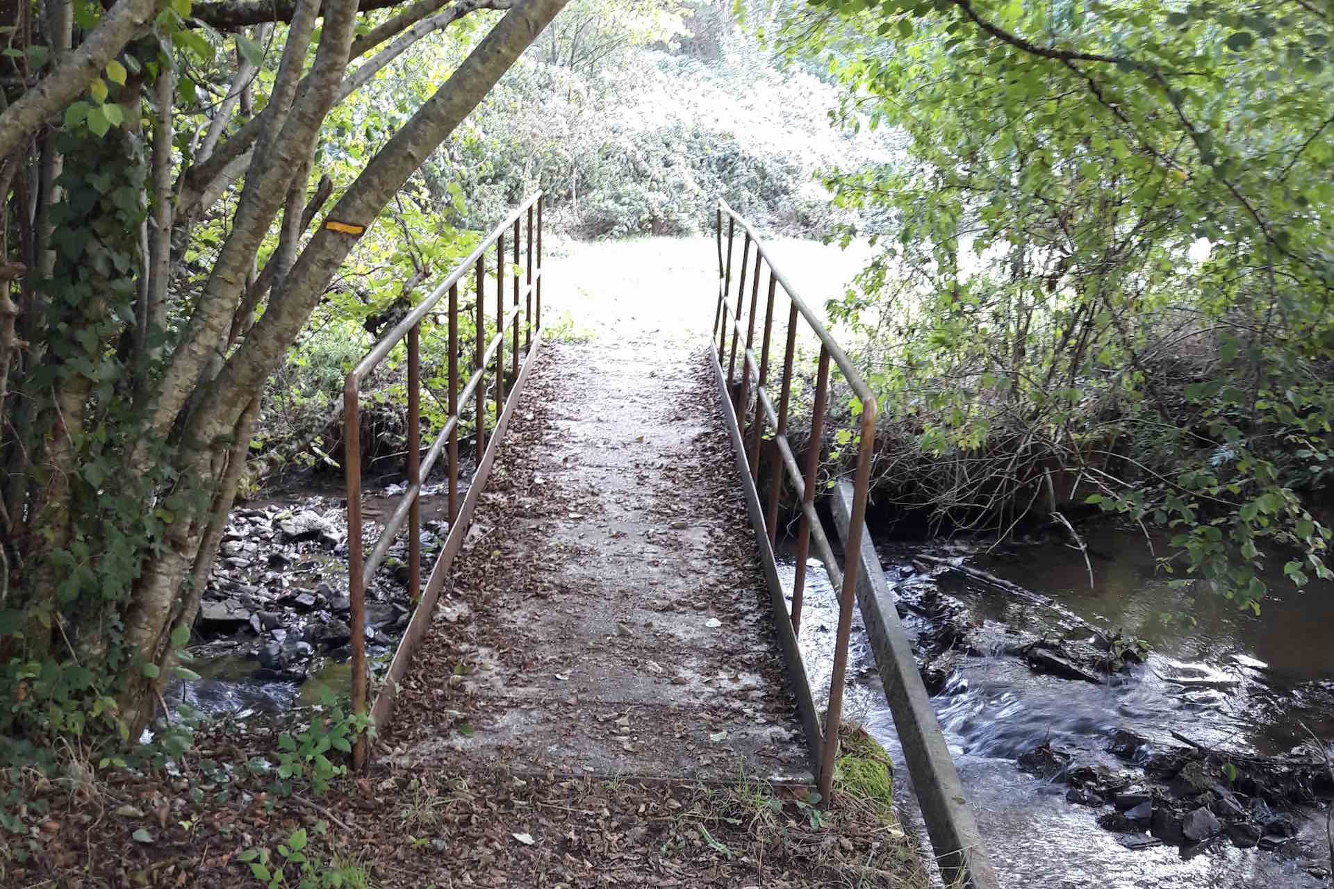 Sentier les biches, Champagnac-la-Rivière - photo 2