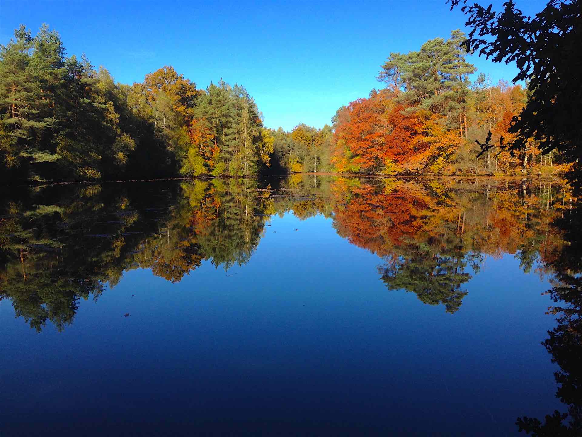 Sentier du Moulin Chabrou, Rilhac-Rancon - photo 4