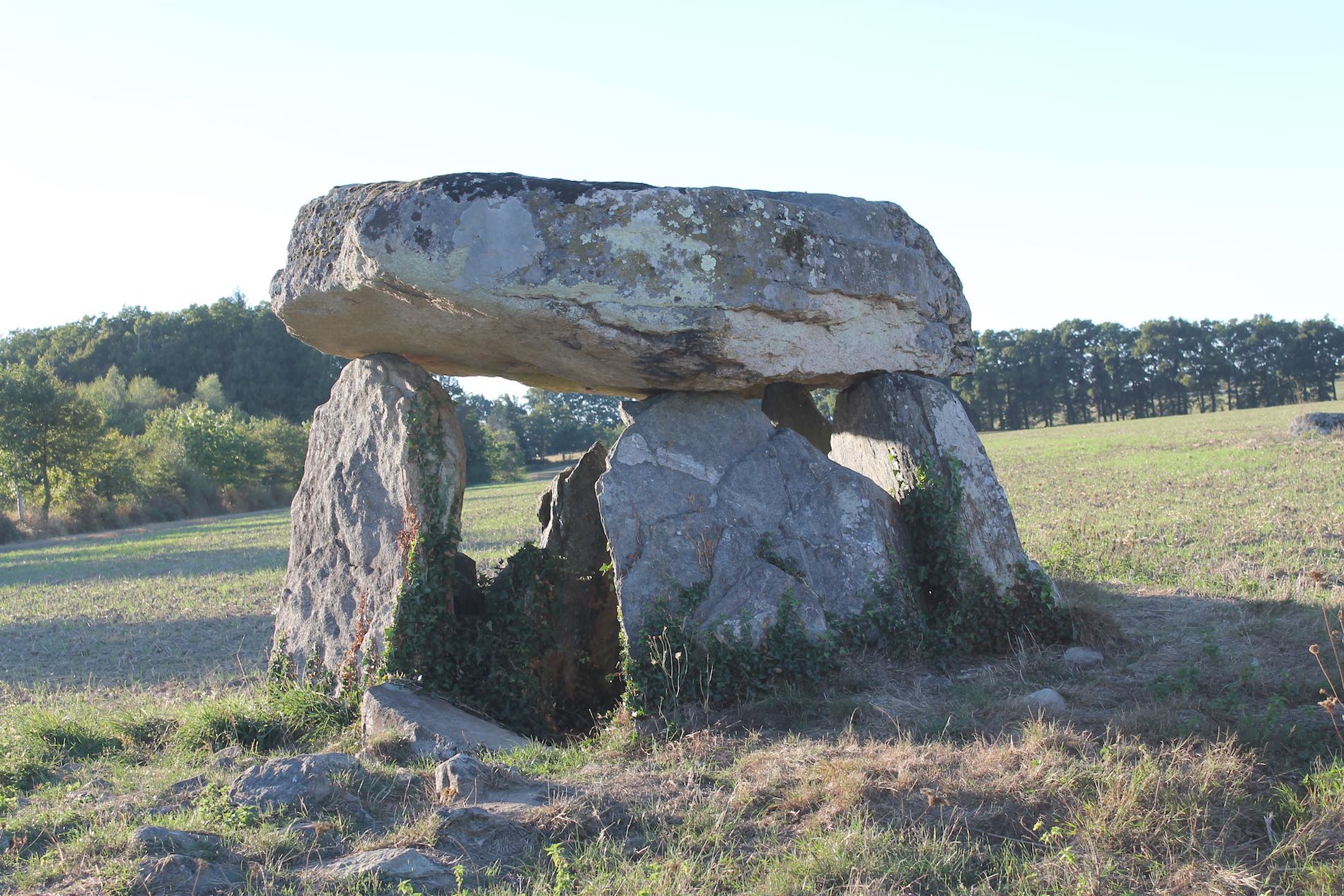Sentier du bois des fées, Breuilaufa - photo 4
