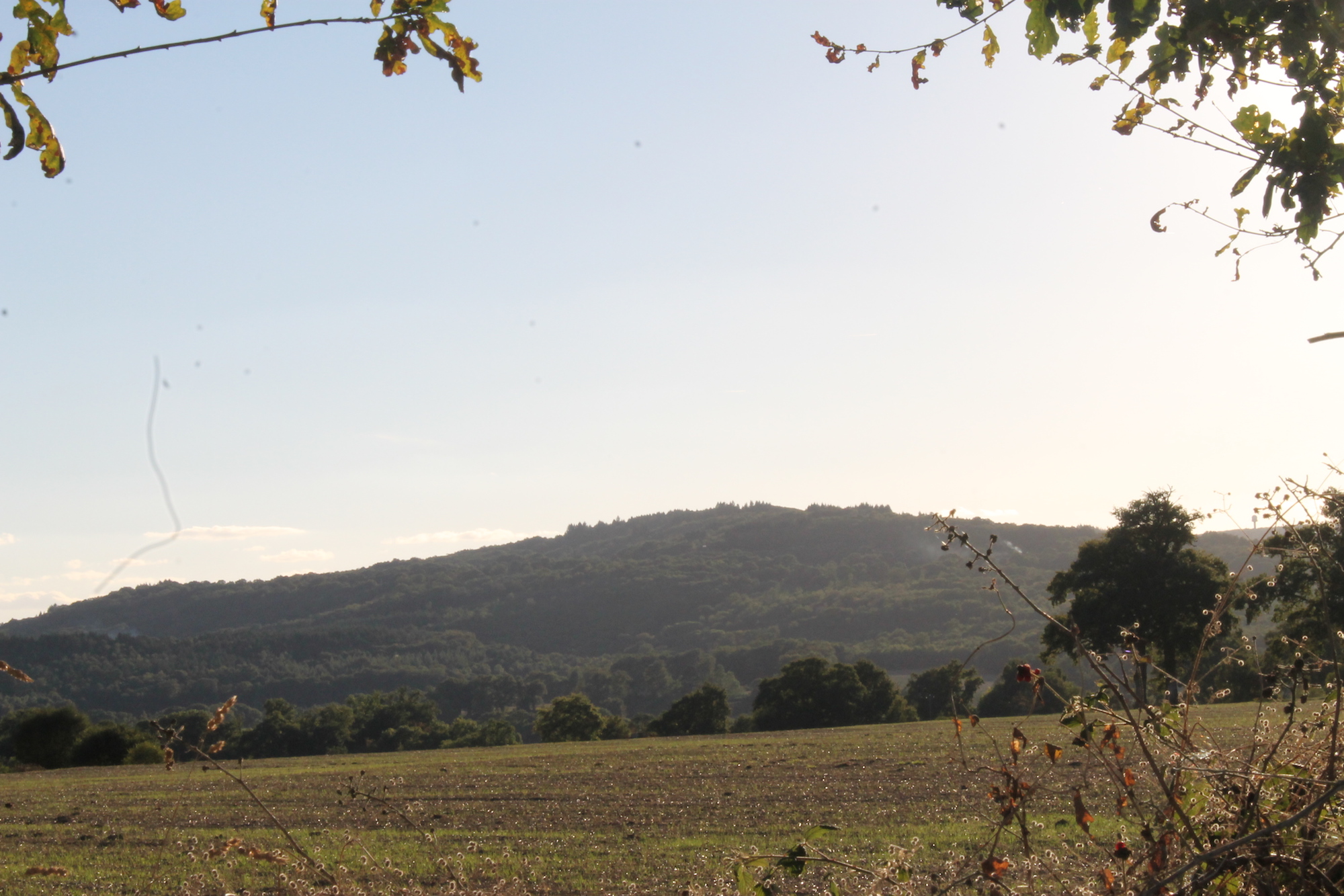 Sentier du bois des fées, Breuilaufa