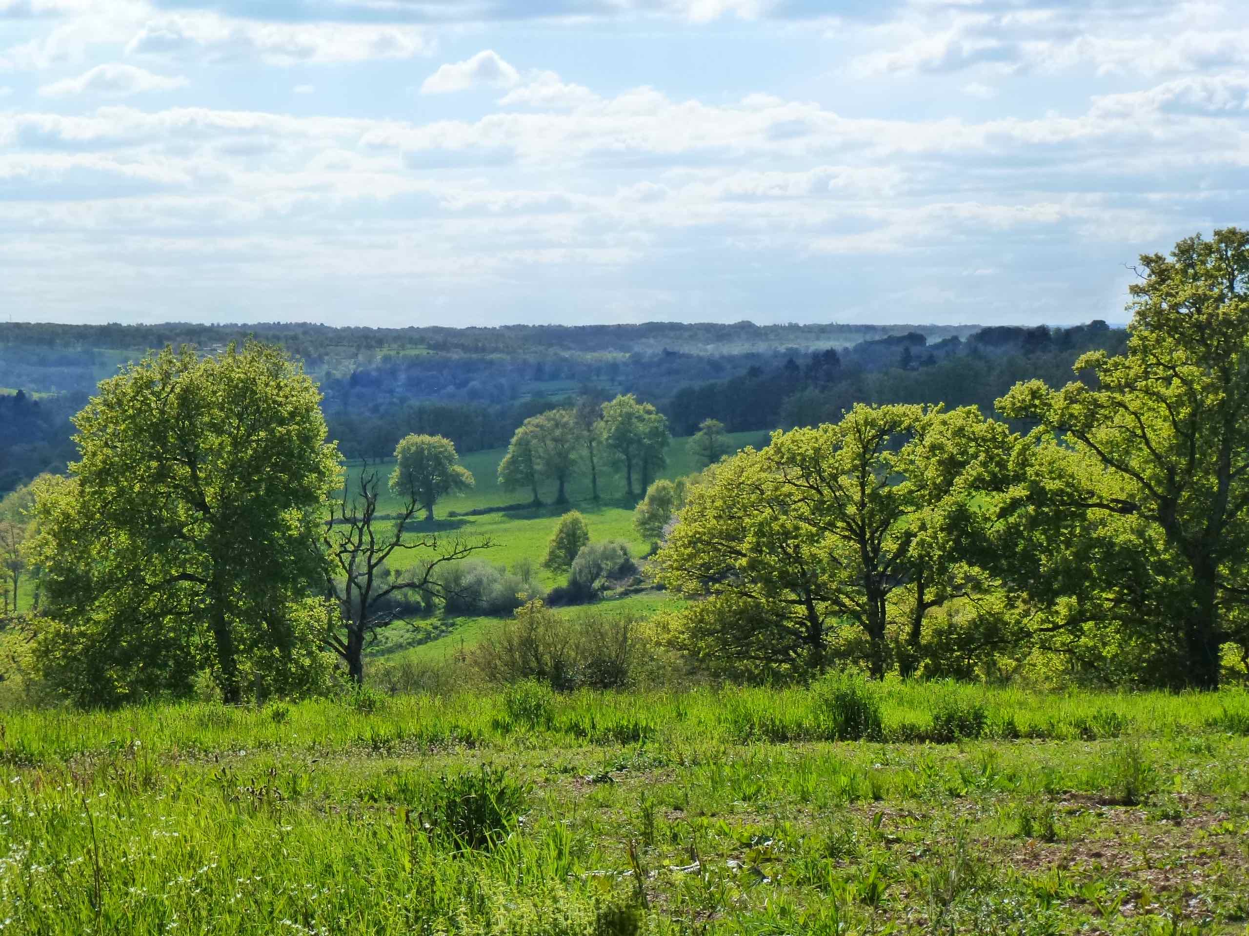 Chemin de Boireau, Saint-Victurnien