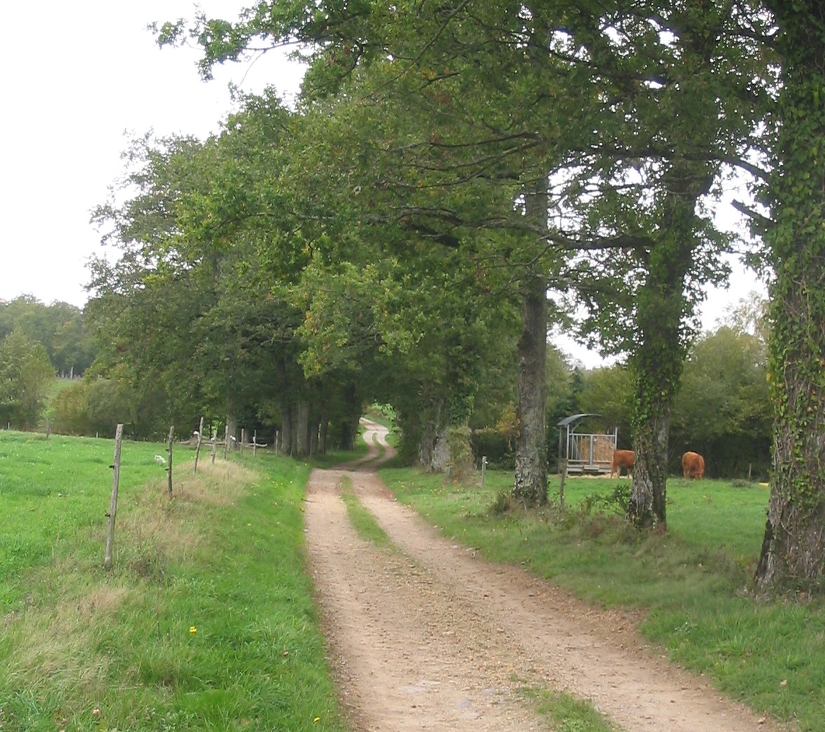 Circuit du Pont Colombier, Veyrac - photo 5