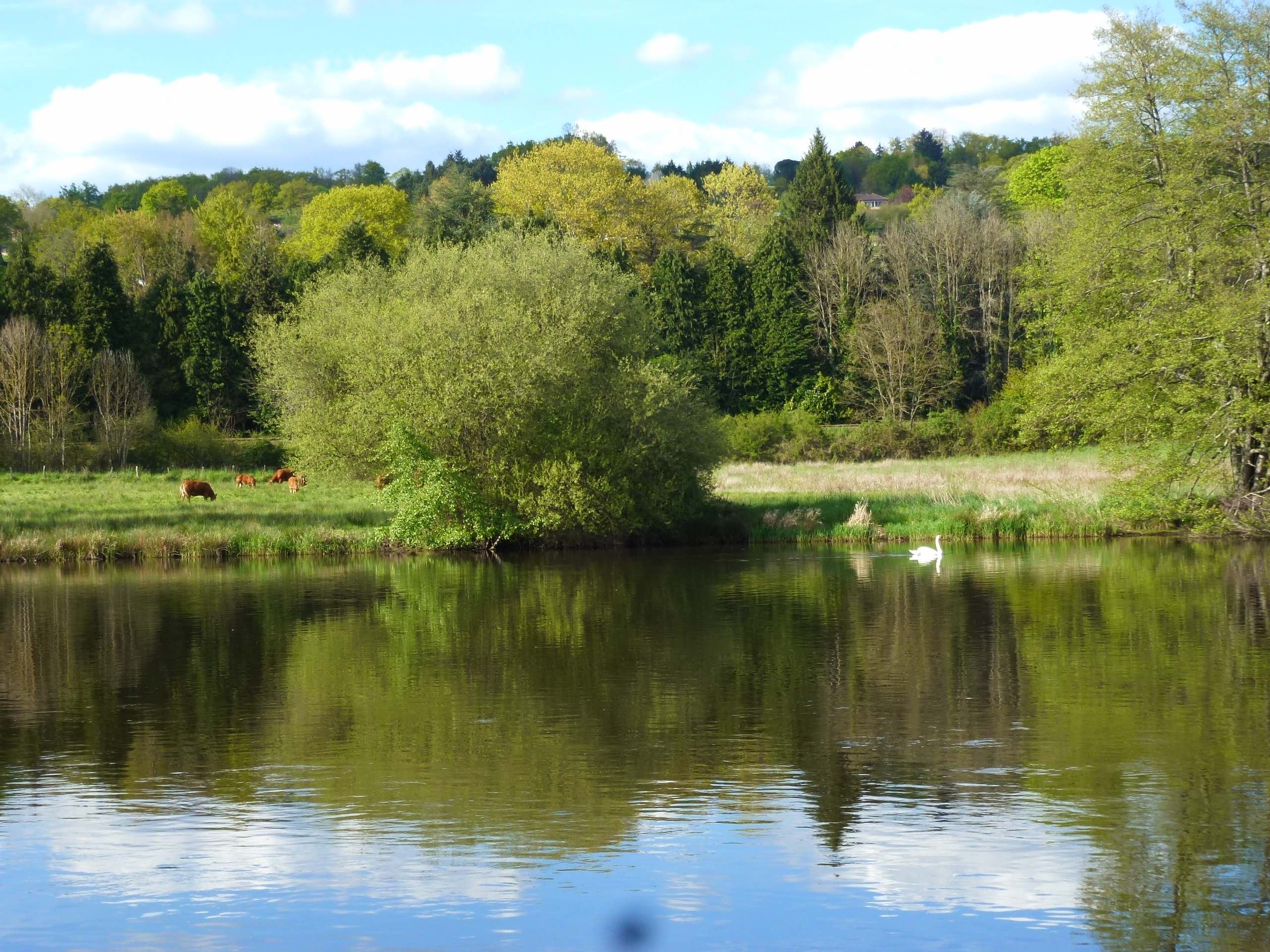 Promenade du Normandie, Saint-Victurnien - photo 5