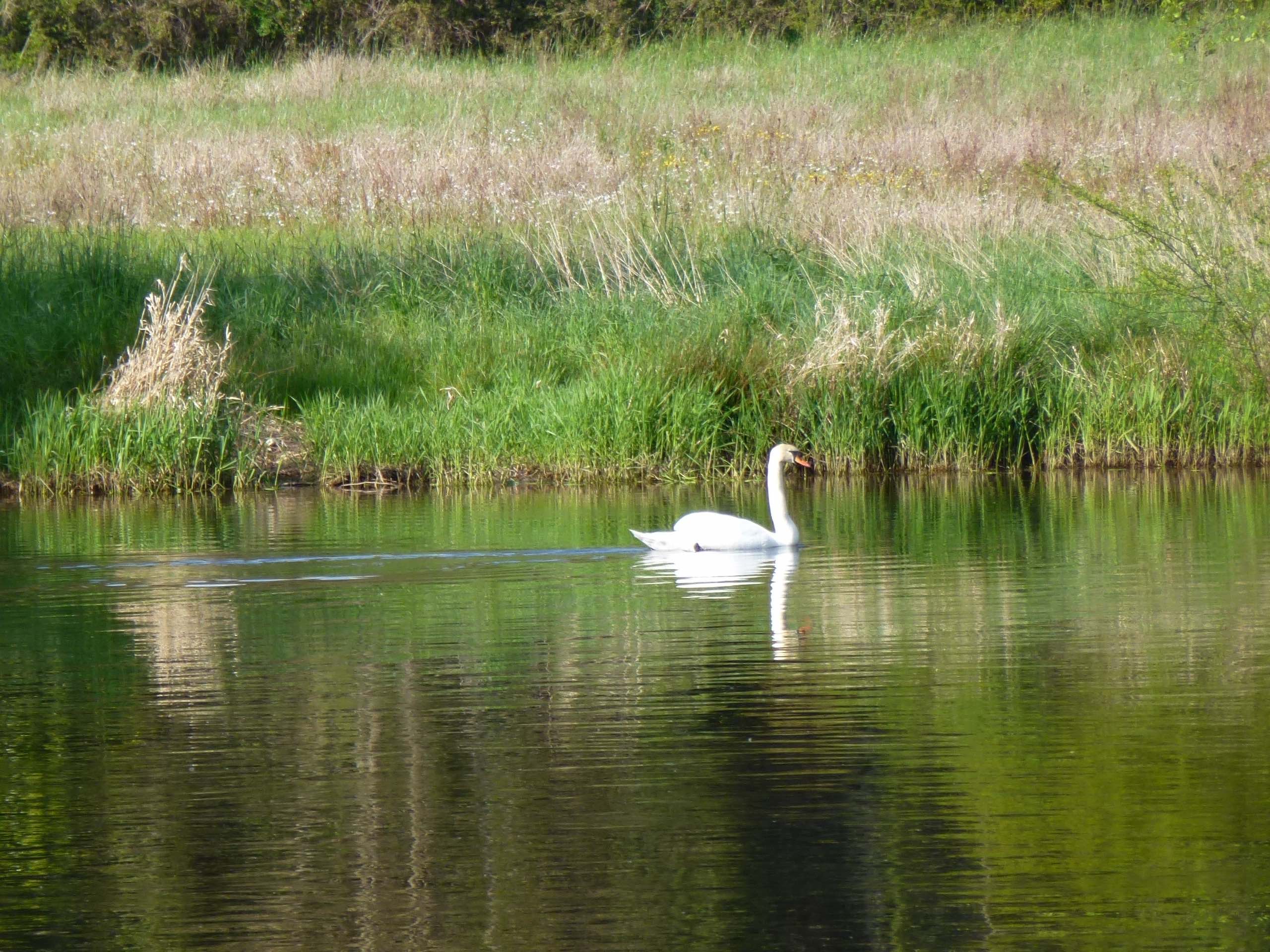 Promenade du Normandie, Saint-Victurnien - photo 4