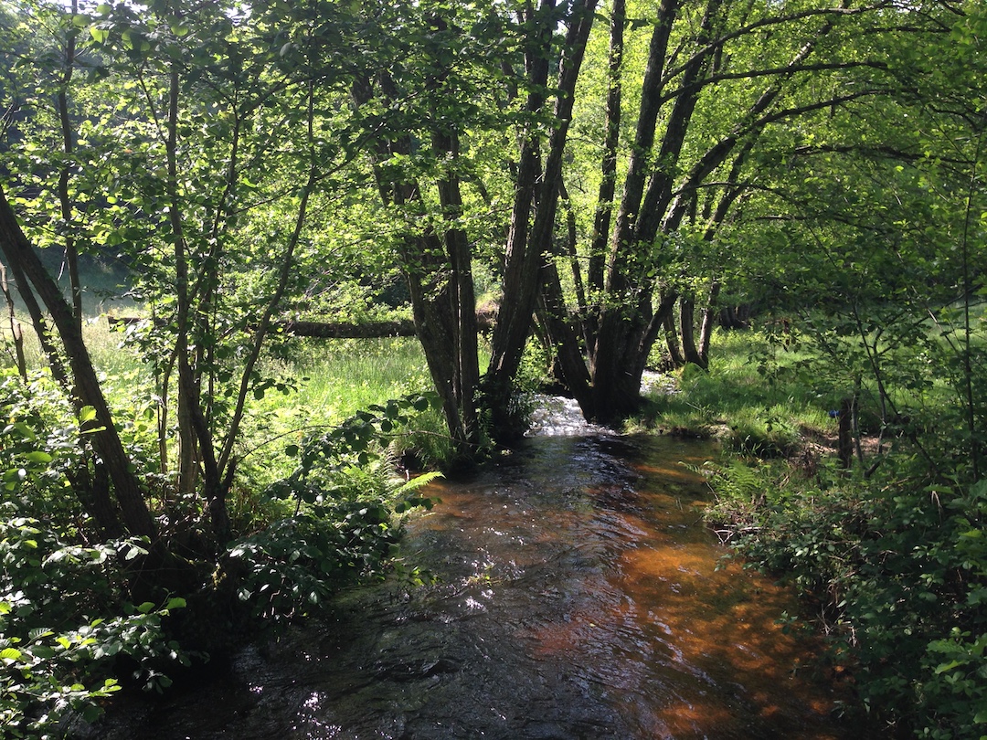 Chemin de la papeterie, Saint-Sulpice-Laurière - photo 2