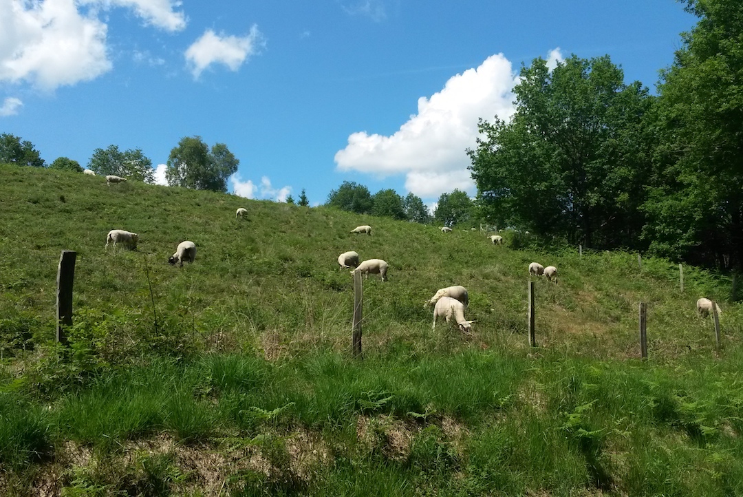 Sentier des bergères