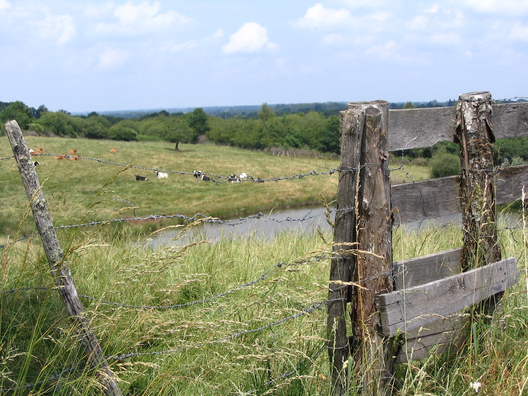 Sentier des bergères, Bussière-Galant - photo 5