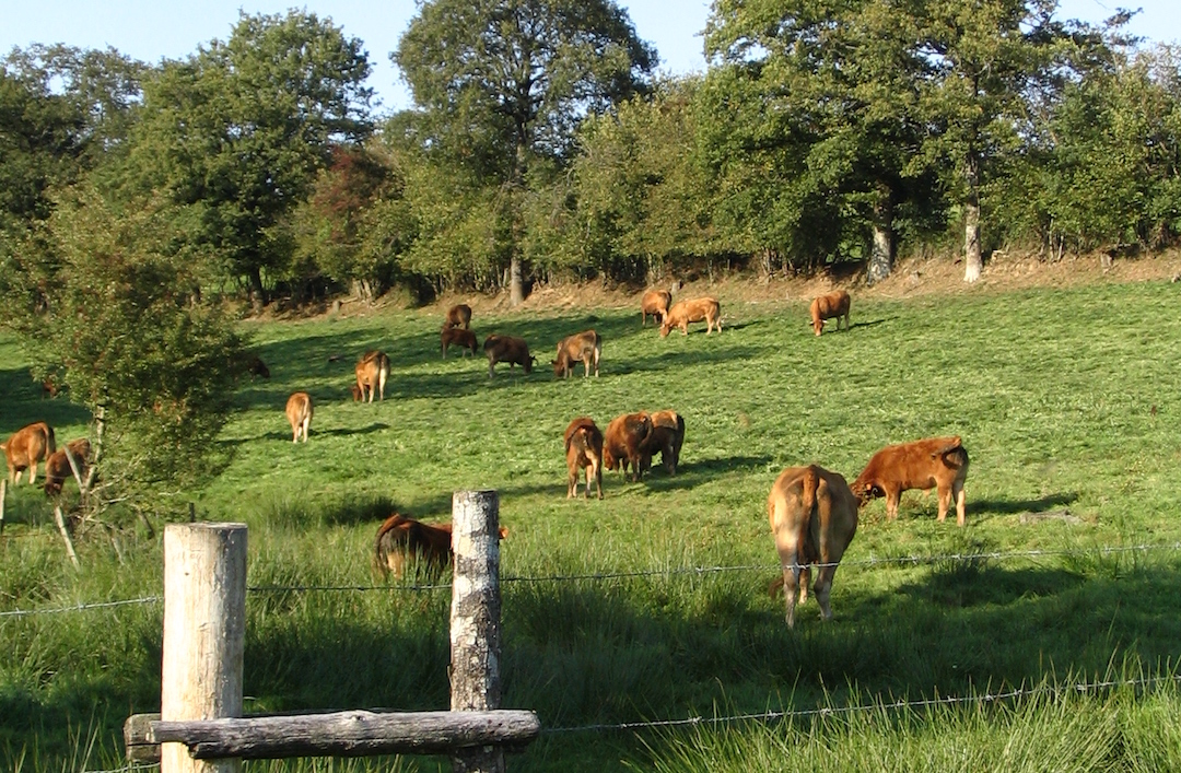 Sentier des bergères, Bussière-Galant - photo 6