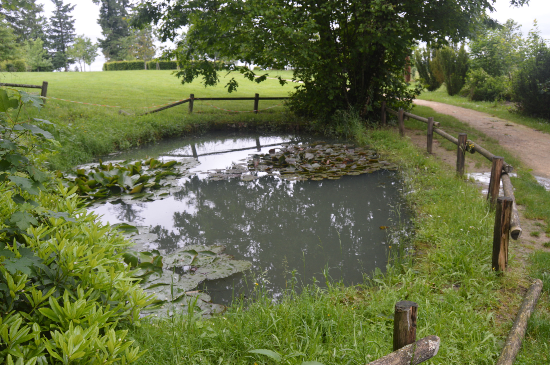 Sentier de plein-ciel, Bosmie-l'Aiguille