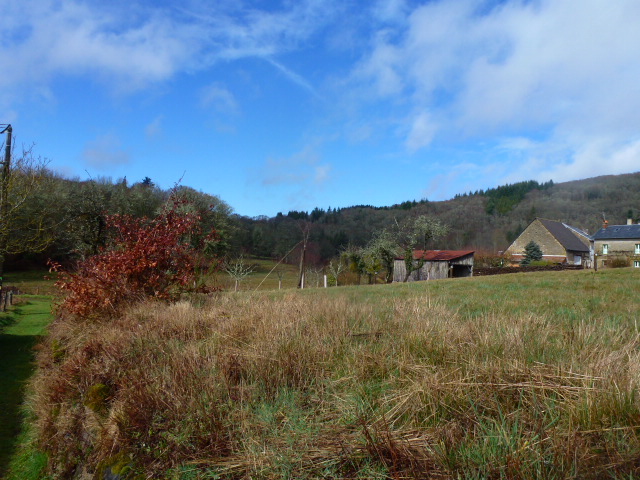 Sentier de la Déesse Epona, Jabreilles-les-Bordes - photo 3