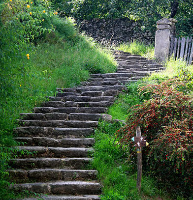 Sentier de la Déesse Epona, Jabreilles-les-Bordes - photo 5