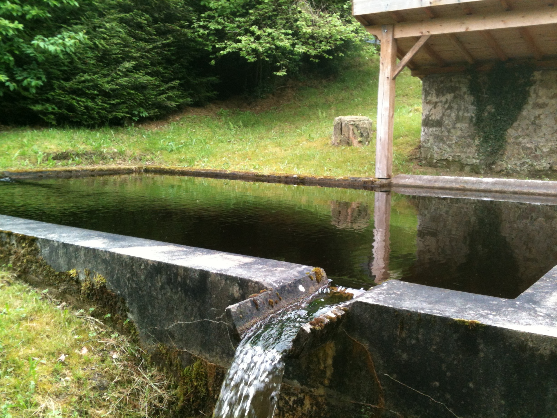 Sentier de la Déesse Epona, Jabreilles-les-Bordes - photo 4