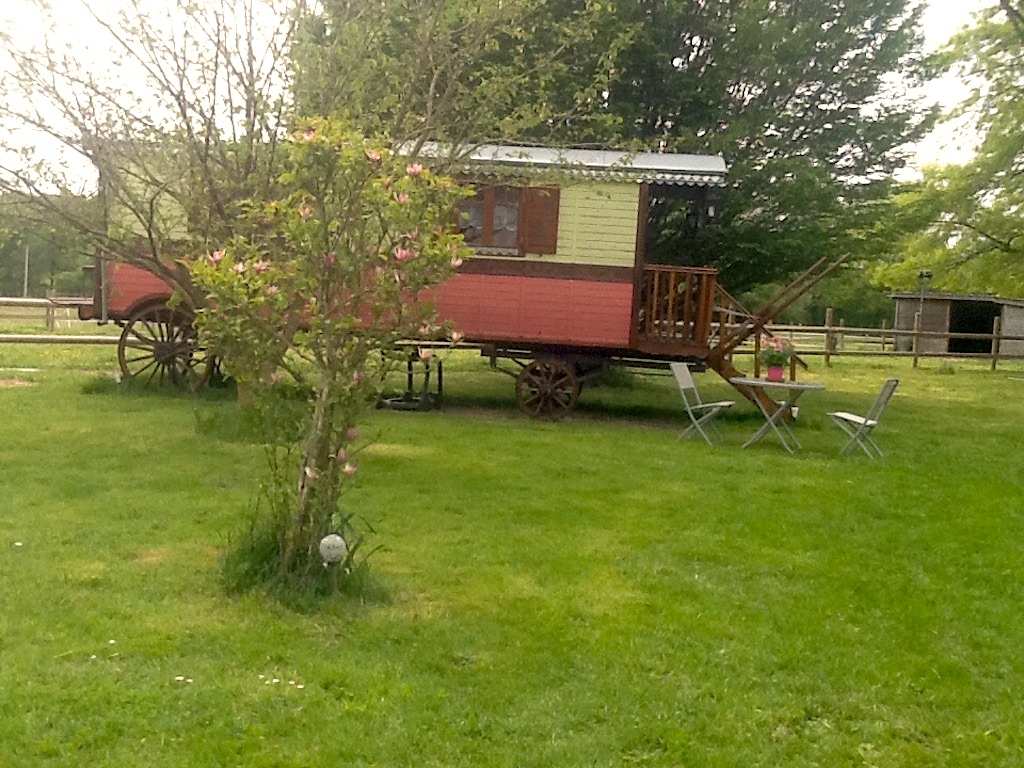 Camping à la ferme - Elevage de la Gandoue - photo 4