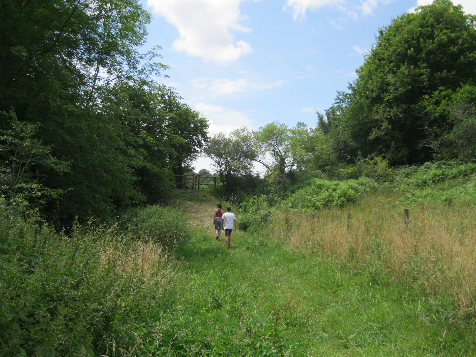 Liaison parc du Mas-Jambost - Bois des Vaseix — photo 3