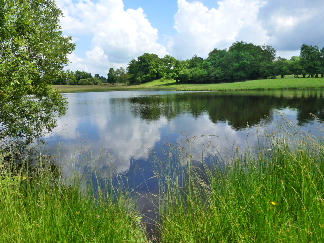 Le Martoulet, Saint-Germain-les-Belles