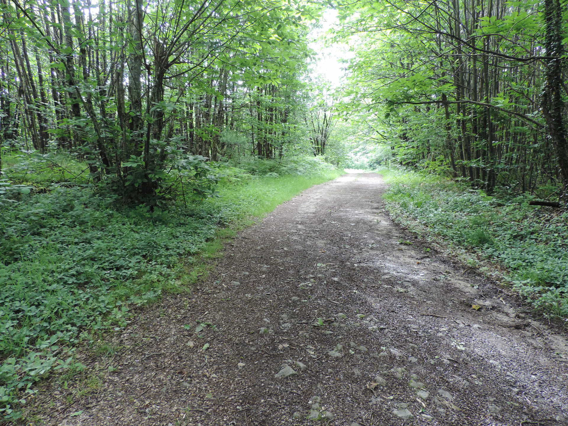 Chemin des collines, Saint-Hilaire-les-Places - photo 3