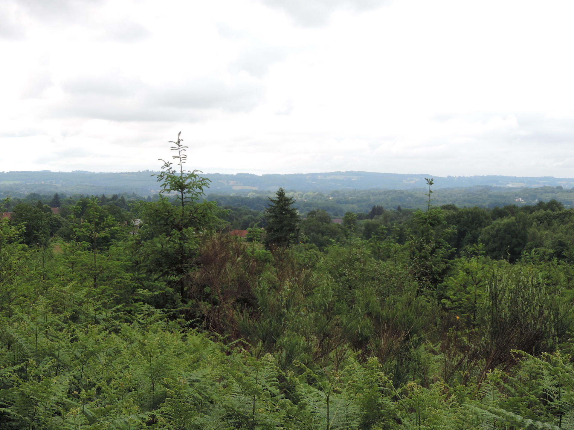 Chemin des collines, Saint-Hilaire-les-Places - photo 4