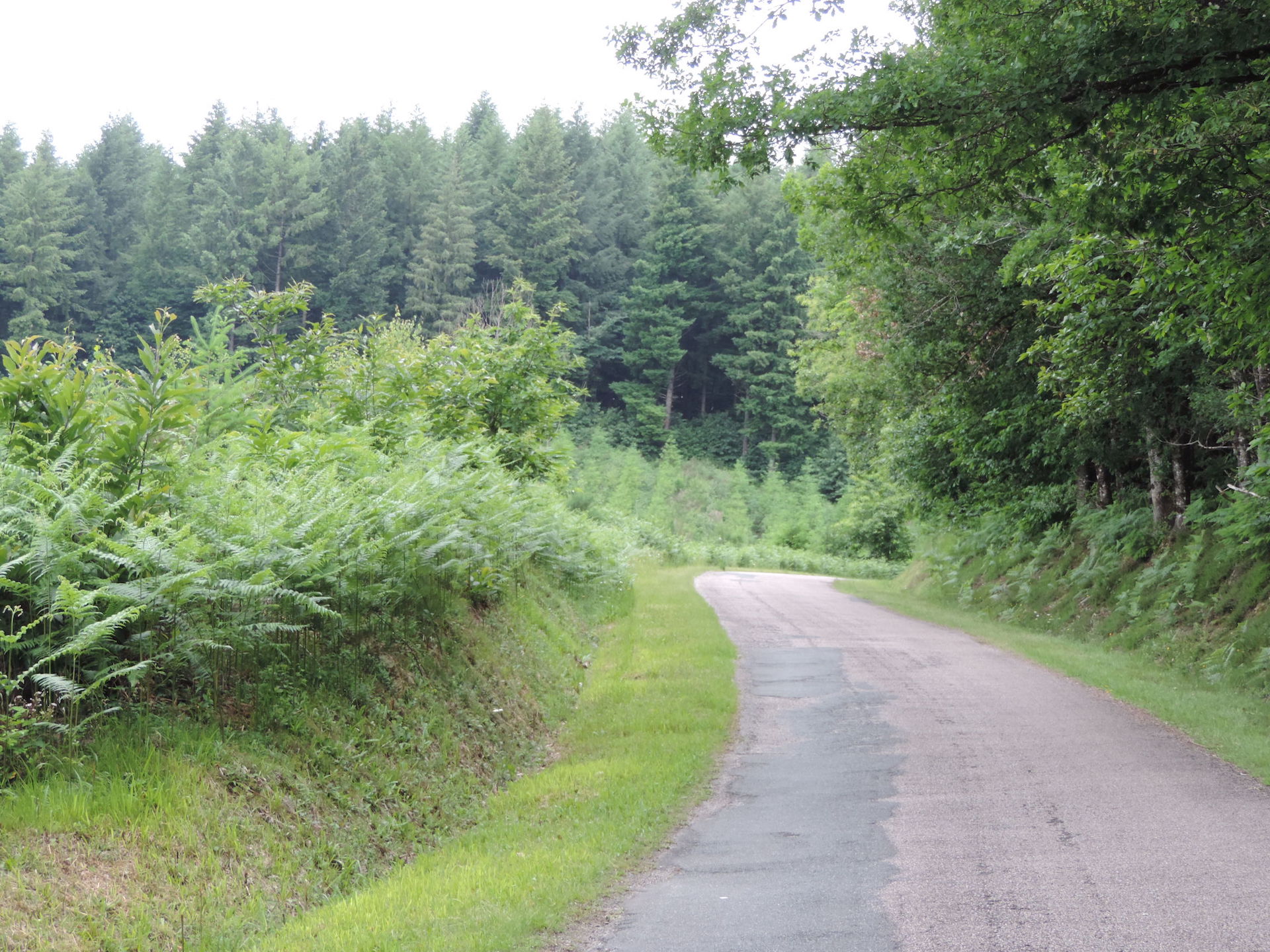 Chemin des collines, Saint-Hilaire-les-Places - photo 2