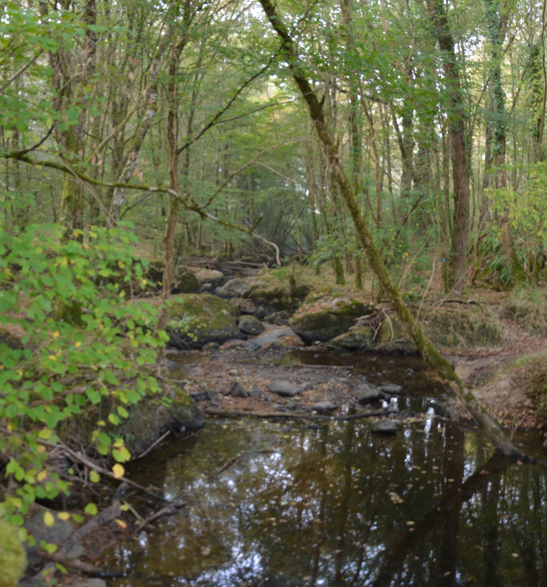 Rochers de l'Isop, Saint-Martial-sur-Isop - photo 5