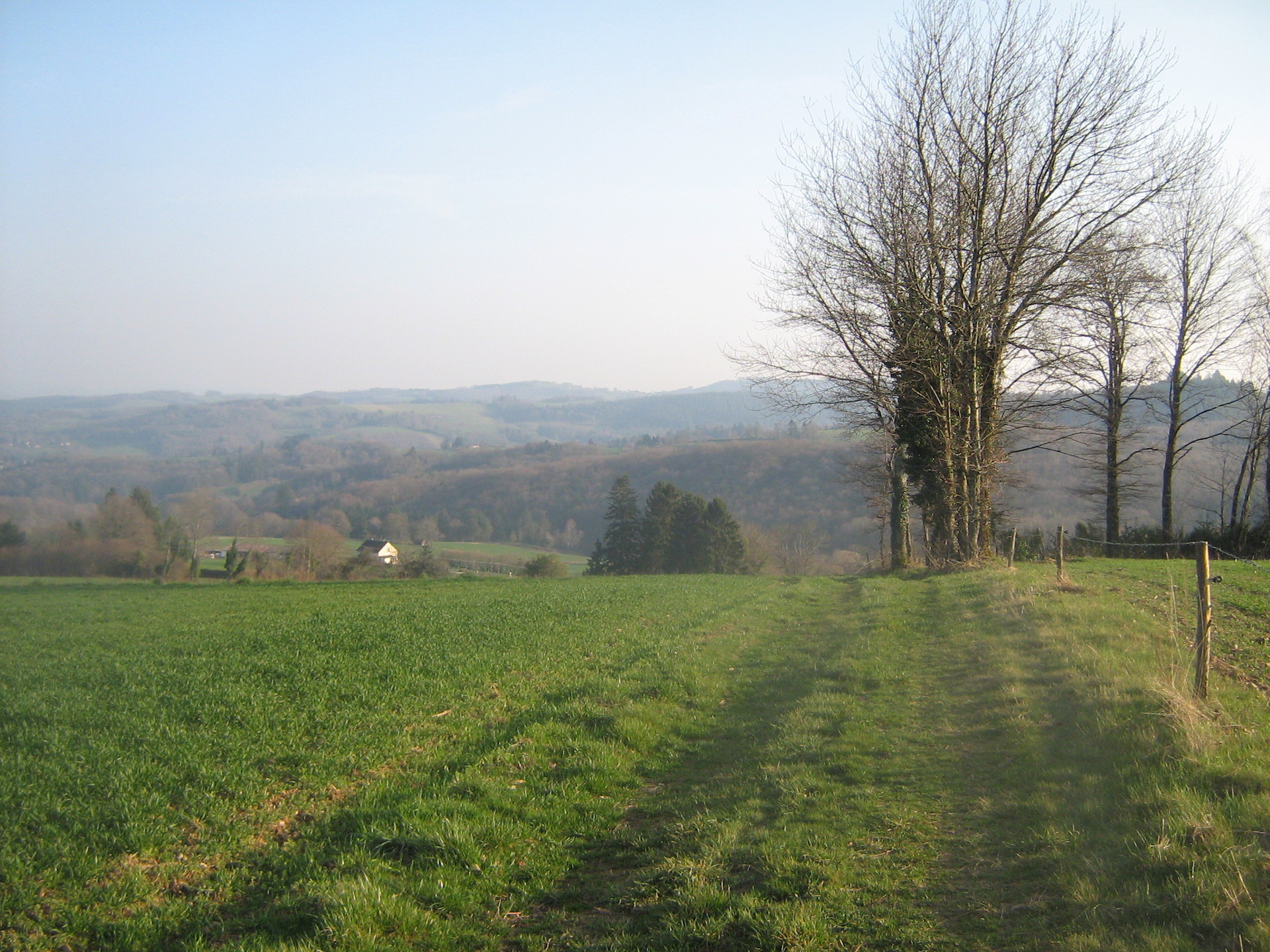 Mont Gargan piste 3, Châteauneuf-la-Forêt - photo 4