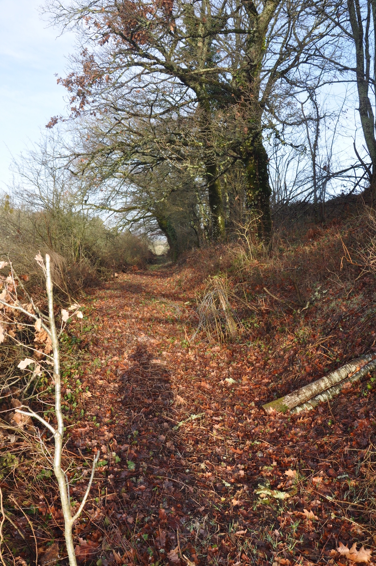 Sur les pas des Lémovices, Saint-Gence - photo 3