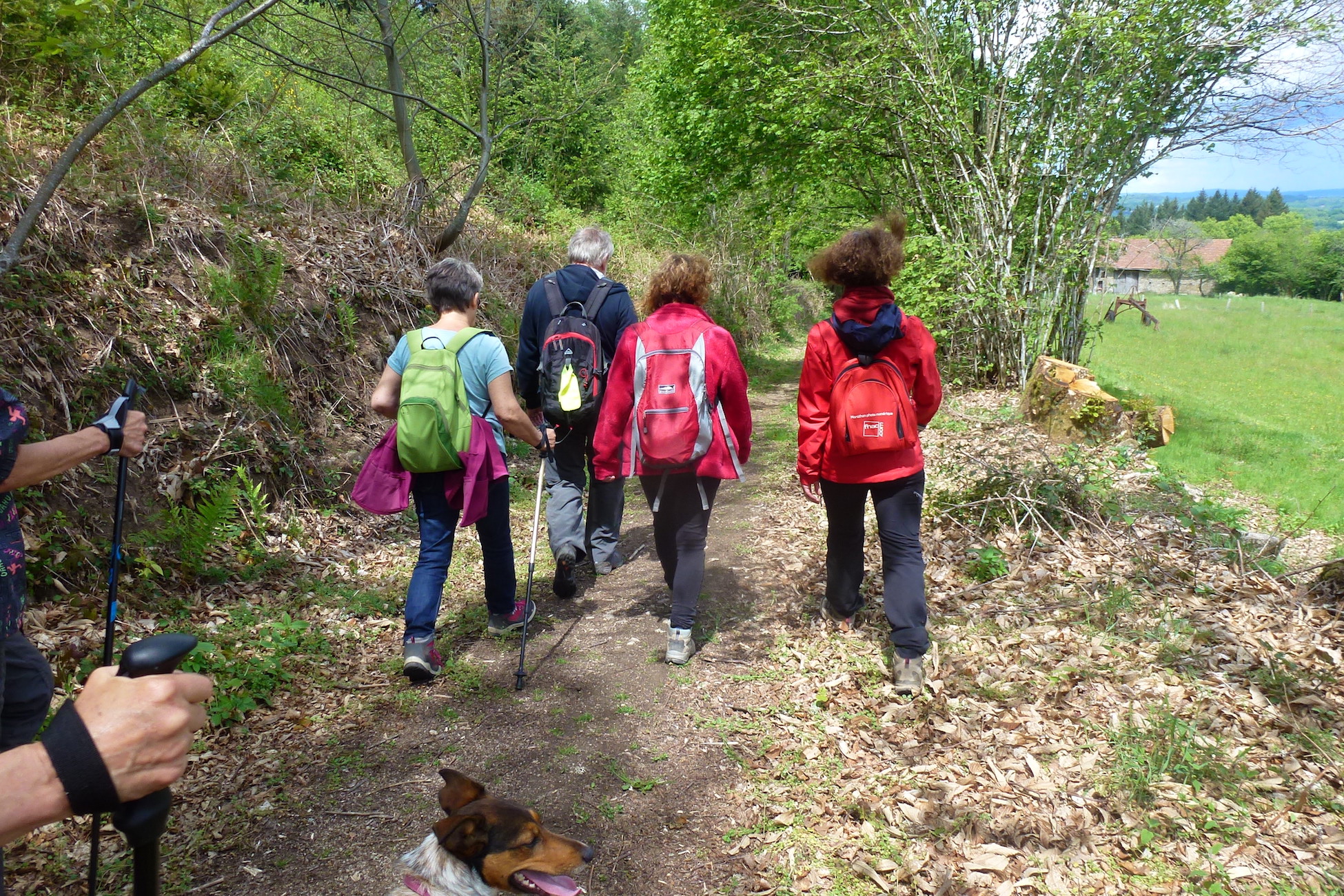 Liaison Razès-Moulin de Chabannes, Razès - photo 3