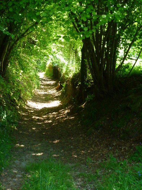 Liaison Razès-Moulin de Chabannes, Razès - photo 4