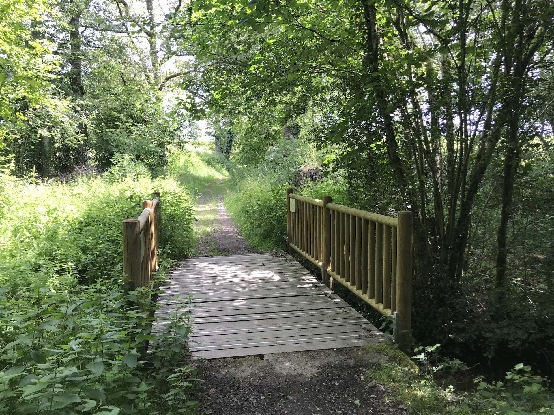 Caminata Etape 1 — photo 2