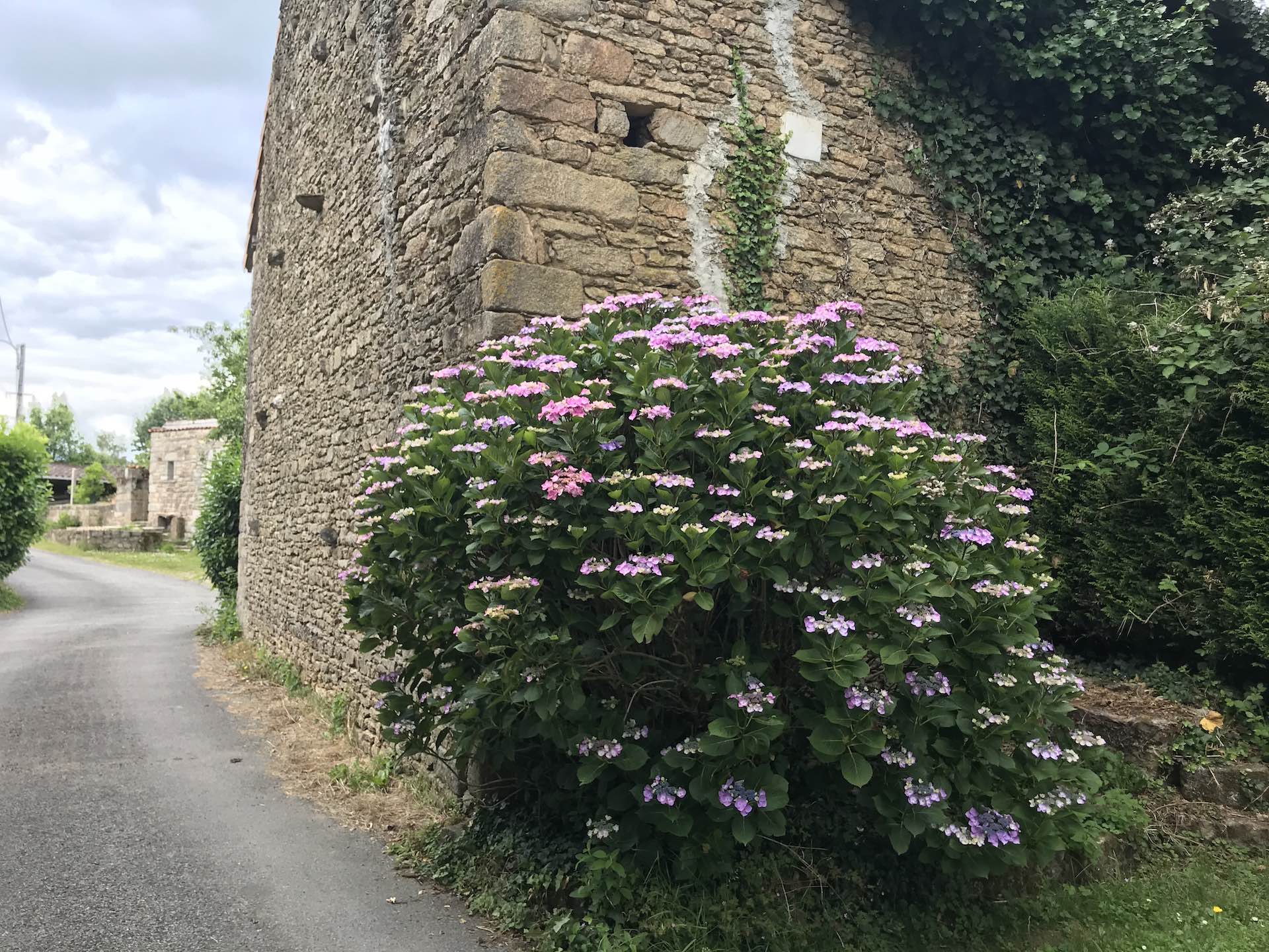Caminata Etape 1 — photo 3