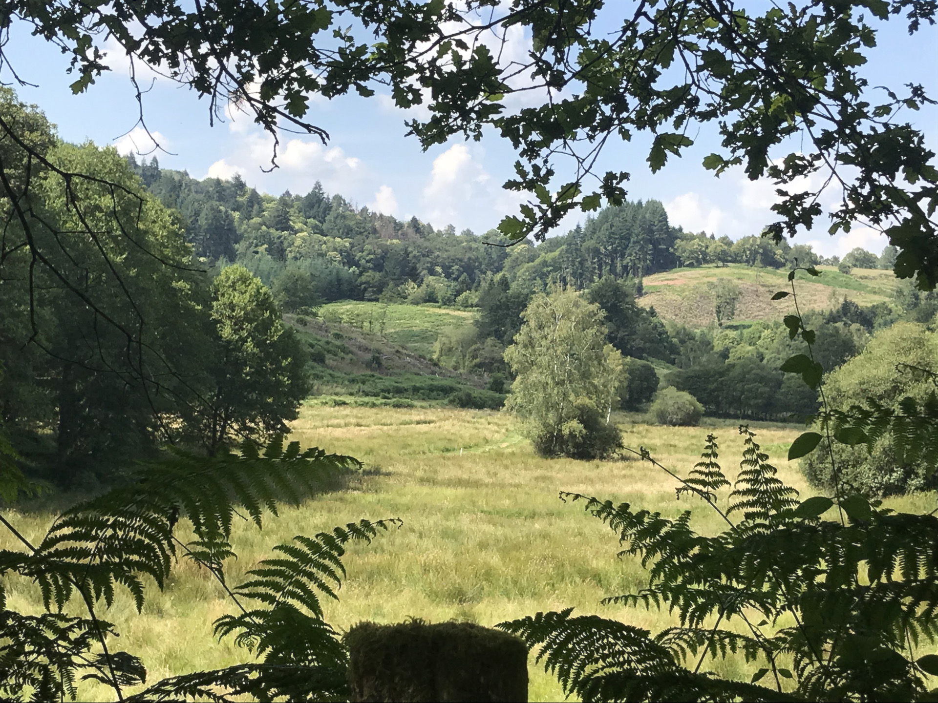 Caminata Etape 4 — photo 2
