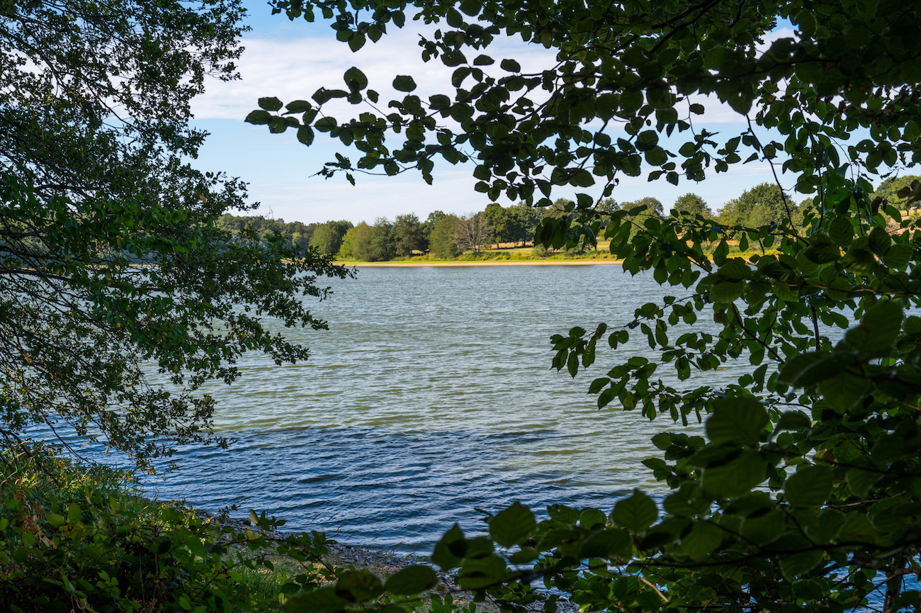 Tour de l'étang de la Pouge, Saint-Auvent - photo 4