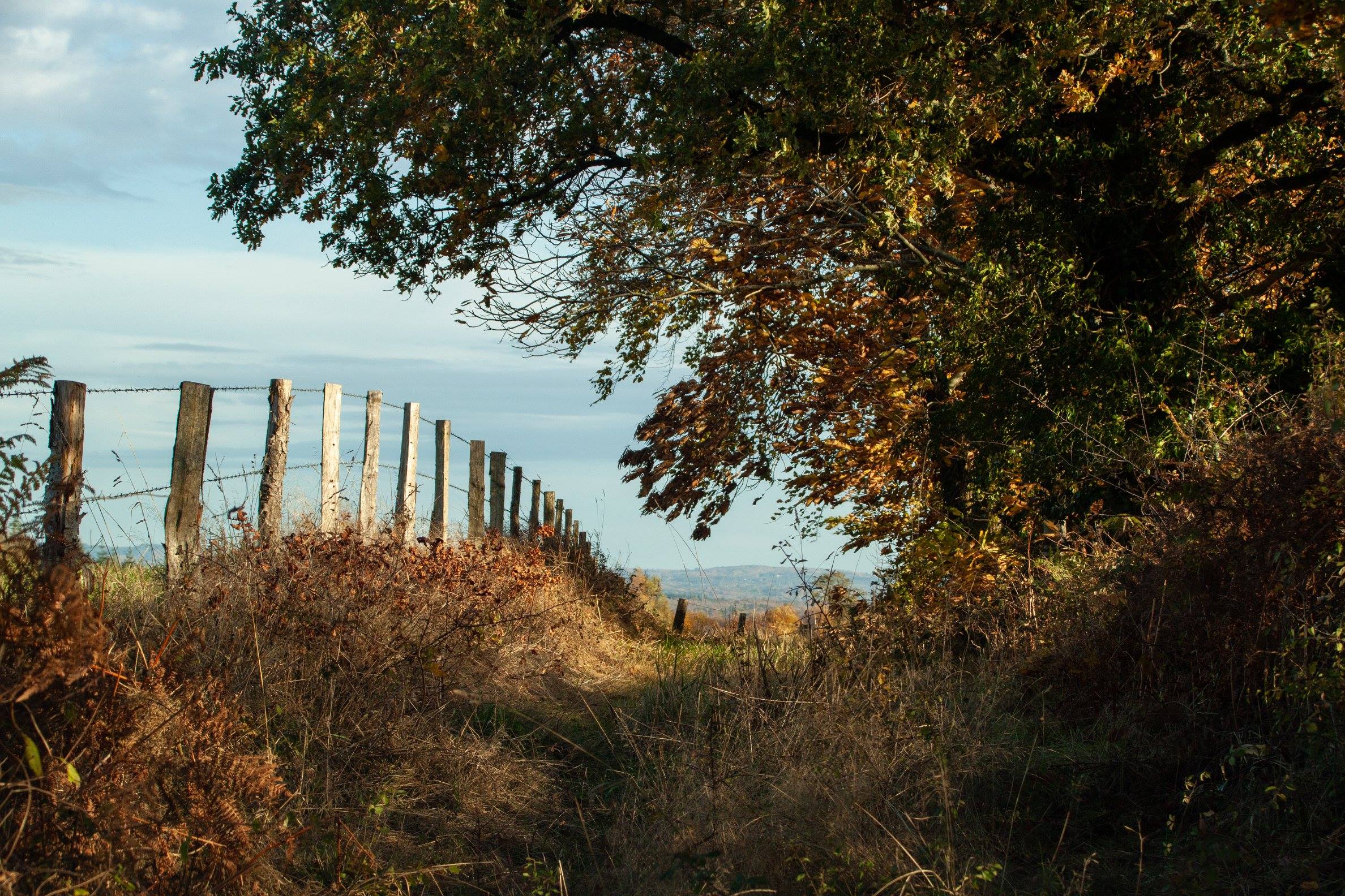 La Traversée du Haut Limousin, Val d'Issoire - photo 8