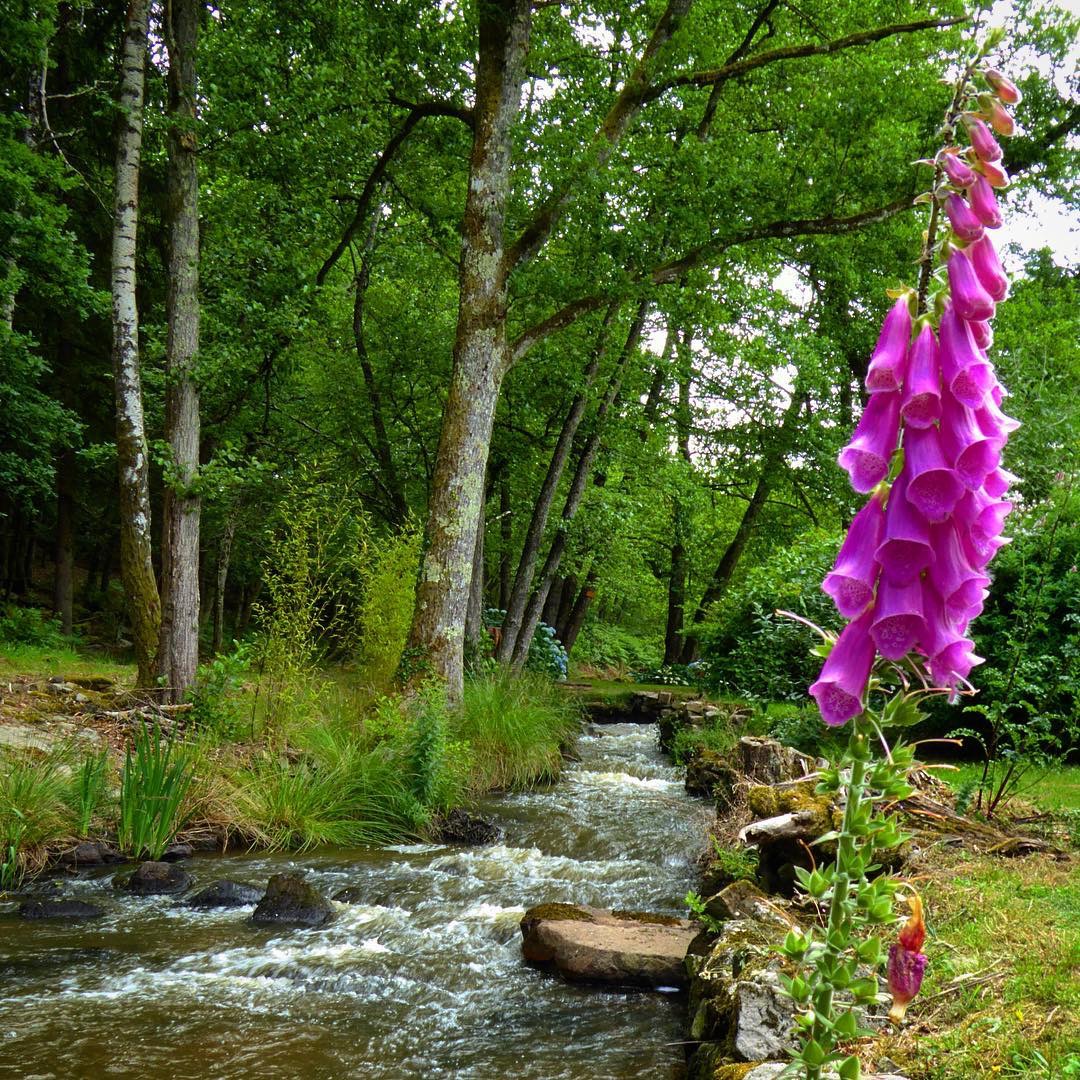 La Traversée du Haut Limousin, Val d'Issoire - photo 2