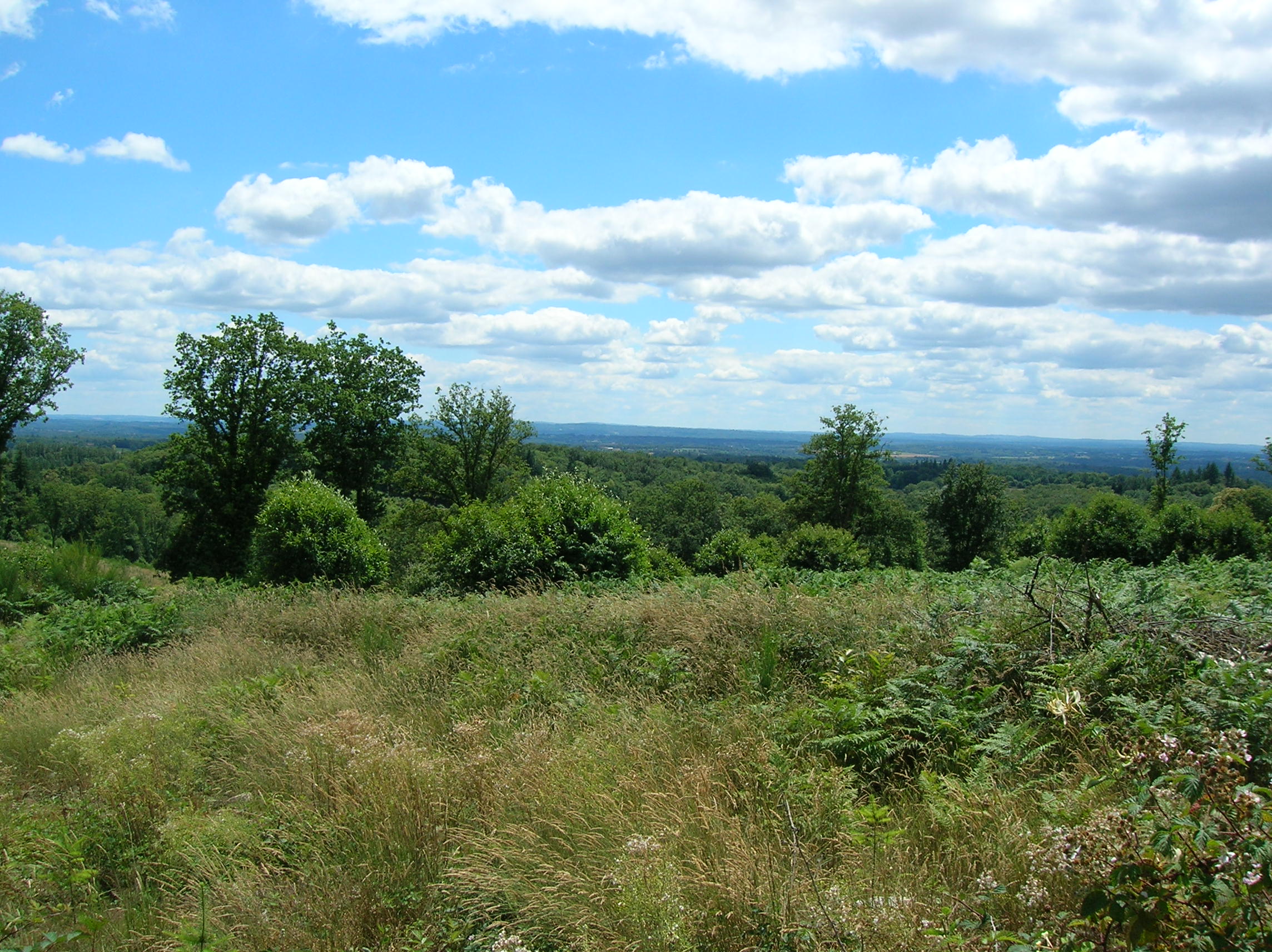 GRP®  des Monts de Blond : étape 2 : Mortemart - Blond, Mortemart - photo 2