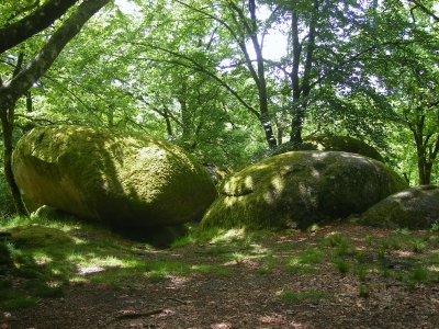 GRP®  des Monts de Blond : étape 2 : Mortemart - Blond, Mortemart - photo 5