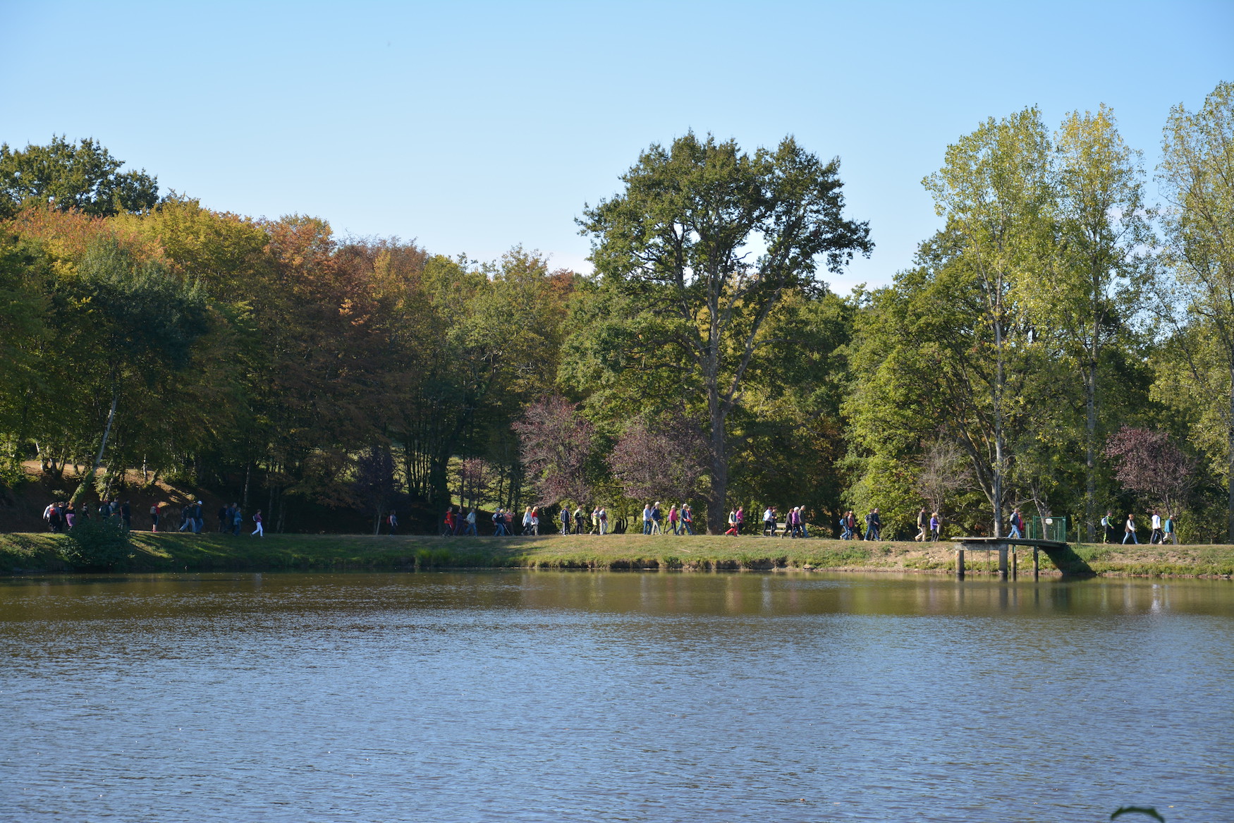 Circuit de l'étang des Brégères, Val-d'Oire-et-Gartempe - photo 5