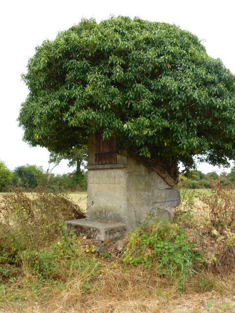 Circuit de l'étang des Brégères, Val-d'Oire-et-Gartempe - photo 4