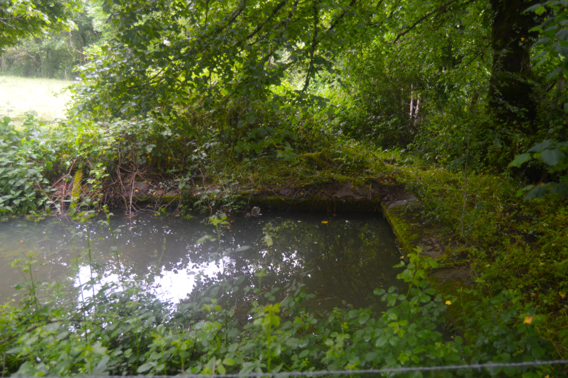 Sentier des écrevisses