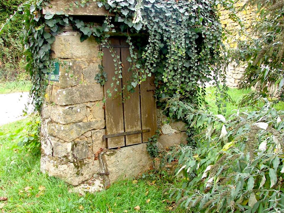 Sentier de la forêt, Saint-Jouvent - photo 5